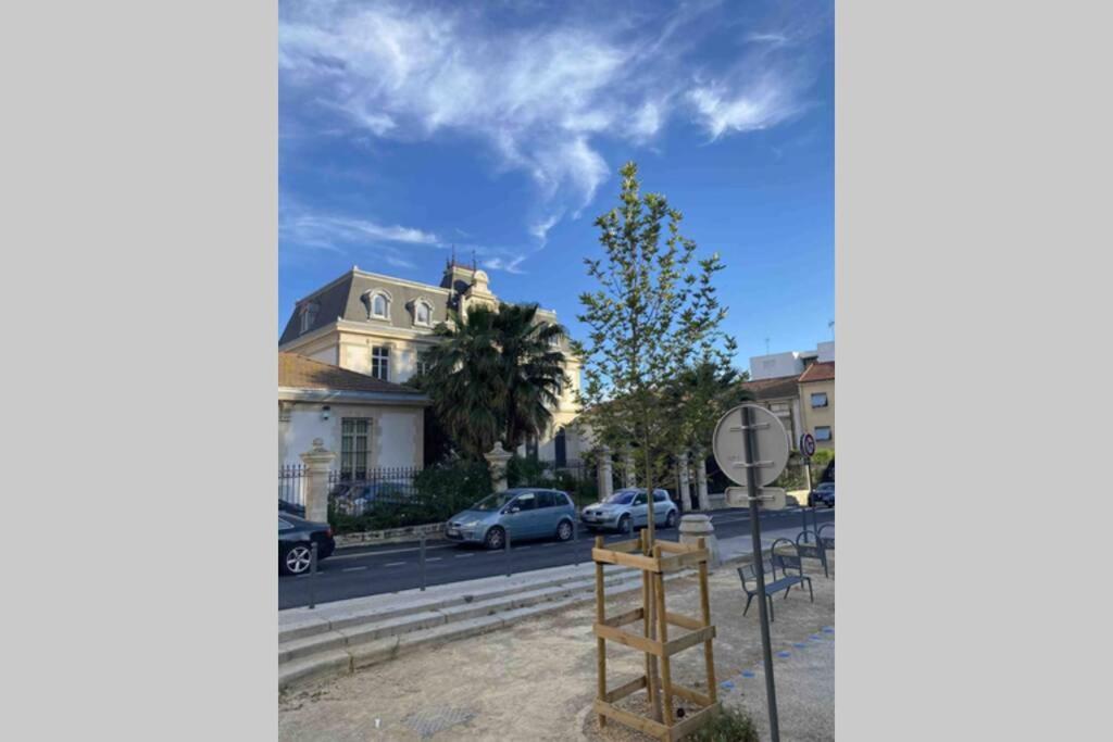 Grand Appartement Proche Gare Et Polygone 贝济耶 外观 照片
